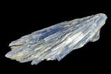Vibrant Blue Kyanite Crystals - Brazil #113480-1